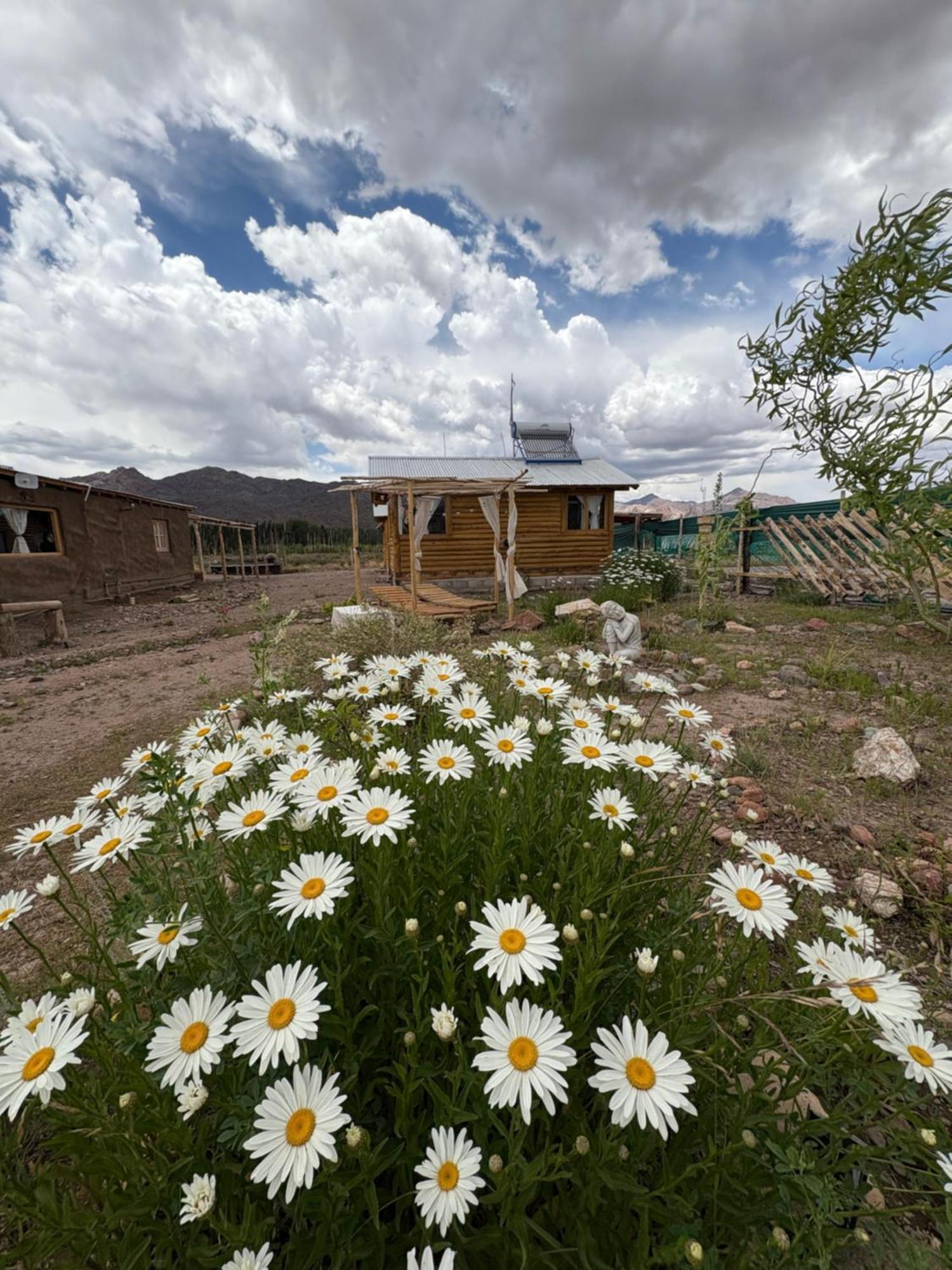 Paramitas Cabanas De Montana Uspallata Eksteriør billede