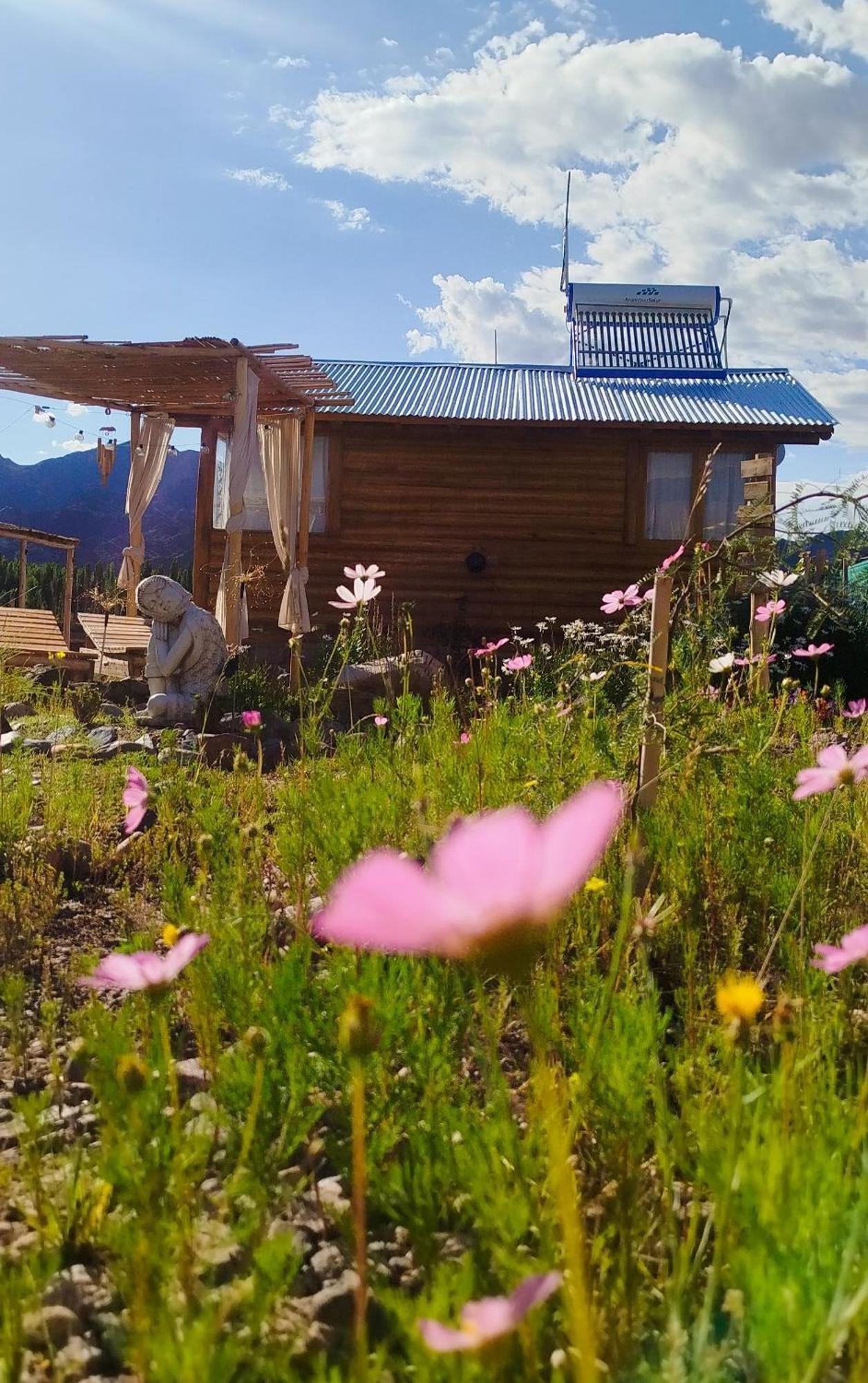 Paramitas Cabanas De Montana Uspallata Eksteriør billede